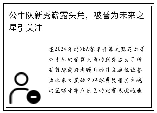 公牛队新秀崭露头角，被誉为未来之星引关注